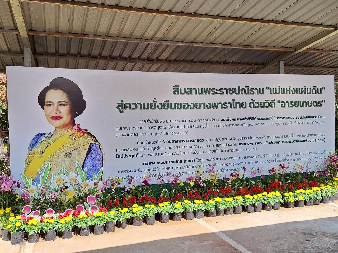 title - ผู้ตรวจราชการ ส.ป.ก. ร่วมเป็นเกียรติในพิธีปิดและมอบเกียรติบัตรแก่เยาวชนเกษตรกรรุ่นใหม่ โครงการพัฒนาเกษตรกรชาวสวนยางรุ่นใหม่ตามการขับเคลื่อนนโยบายของกระทรวงเกษตรและสหกรณ์ ประจำปี 2569 ณ ศูนย์เรียนรู้ยางพาราจังหวัดนครพนม อำเภอเมืองนครพนม จังหวัดนครพนม